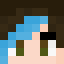 Minecraft players skin