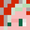 Ertwife Minecraft-head
