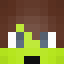 Minecraft players skin
