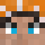 Minecraft players skin