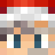 avatar 1TollerB4sti_ skin