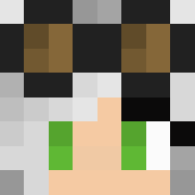Minecraft profile picture for @Leanox