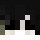 xWshaRPnessWx avatar