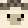 cowbayTIGER Minecraft head