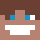 flenix75185 Minecraft head