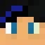 Minecraft players skin
