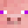 pignterror Minecraft head