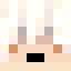 Minecraft players skin