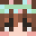 stampykatjr Minecraft head