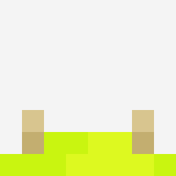 The shop owners Minecraft face