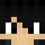 Minecraft players skin