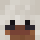 RaiderXWhite Minecraft head