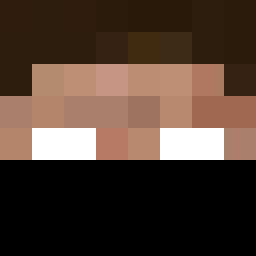 The shop owners Minecraft face