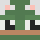 MWG_Withered Minecraft head