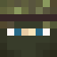 Minecraft players skin