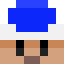 Minecraft avatar for BlueToadCentral