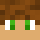 castletech Minecraft head
