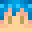 Skin van ank0