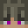 dndwish_ Minecraft head