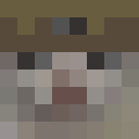 Plunjide