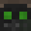 Minecraft players skin