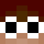 vVaid_