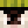 zelphw Minecraft head