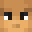 Minecraft head of genius_1019