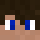 FortuneMidnight Minecraft head