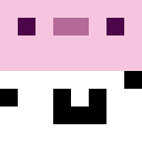 Polar_guy Minecraft-head
