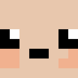 The shop owners Minecraft face