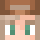 _themegacraft_ Minecraft head