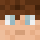 Domaholic Minecraft head