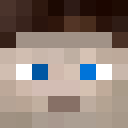 Minecraft profile picture for @Examine