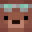 Minecraft players skin