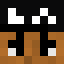 Minecraft players skin