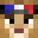 Lion_guy