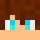 xGatucis Minecraft head