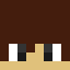 Minecraft players skin