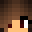 Minecraft players skin
