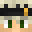 Twin_vv