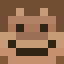 Minecraft avatar for Birdied