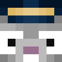 AUGUST_OPFINDER Minecraft-head
