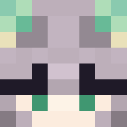 The shop owners Minecraft face