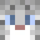 vavsvirtual