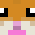 9HamsteR8
