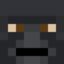 NaebdyretPerry Minecraft-head