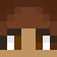 Minecraft players skin