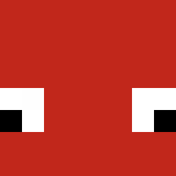 The shop owners Minecraft face