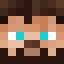Minecraft players skin